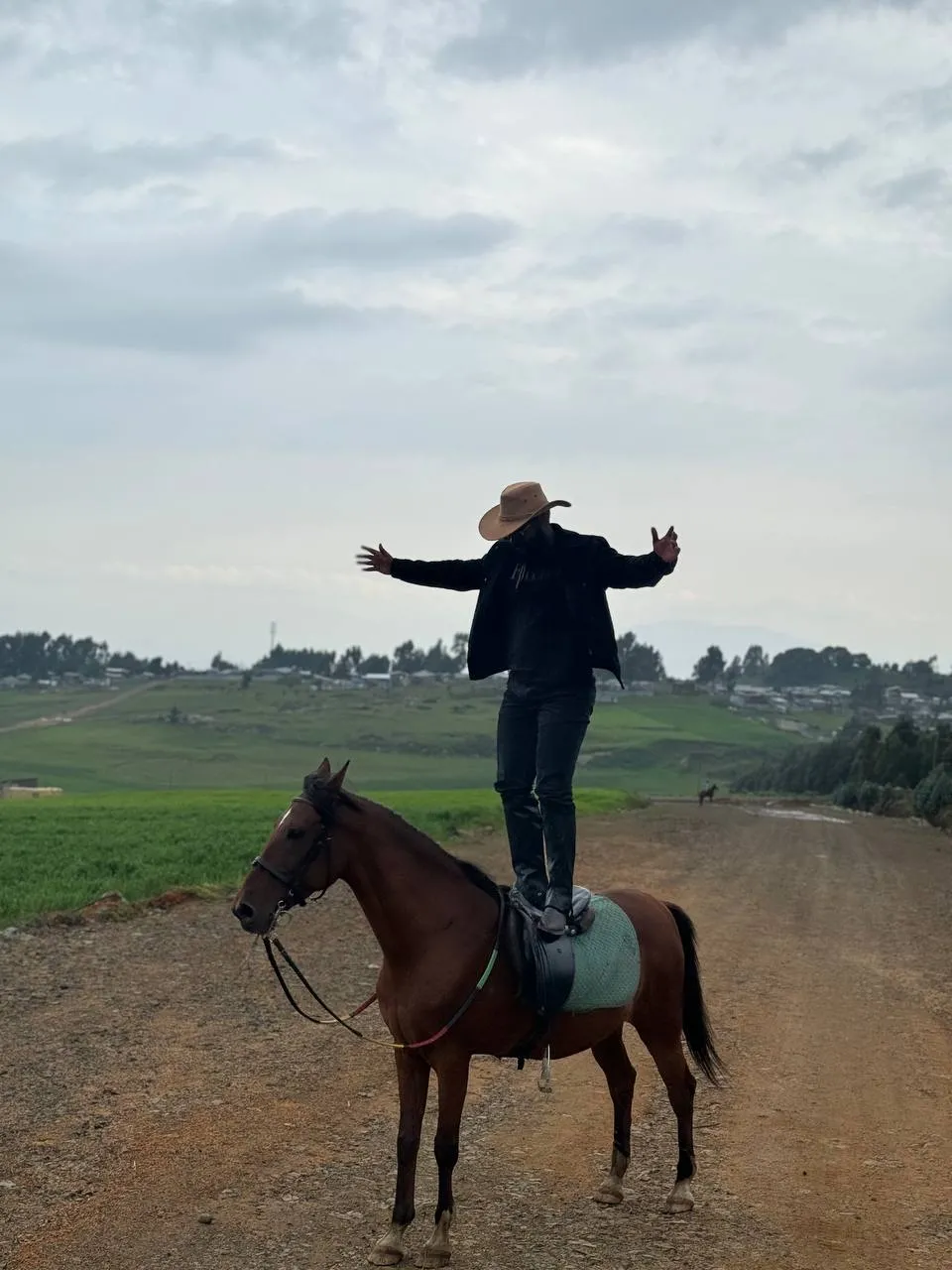 Horse ride 3