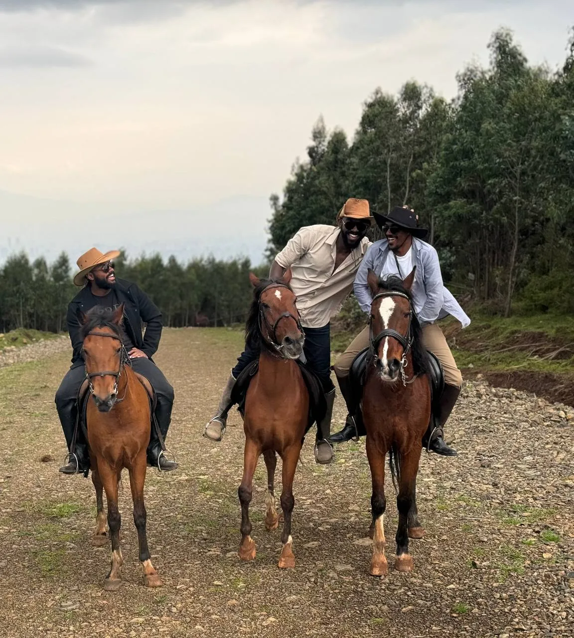 Horse Riding