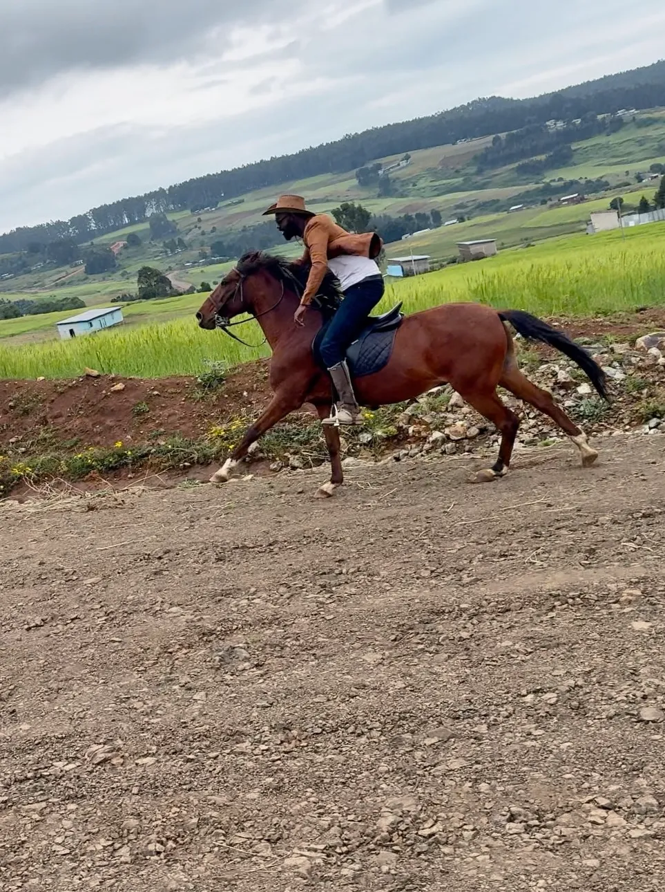 Horse riding adventure