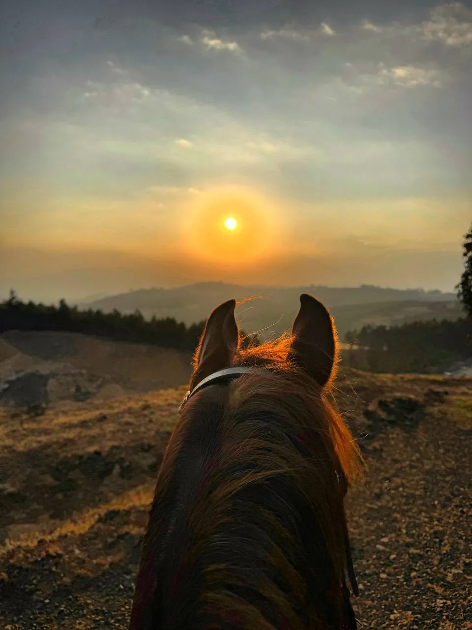 Sunset ride