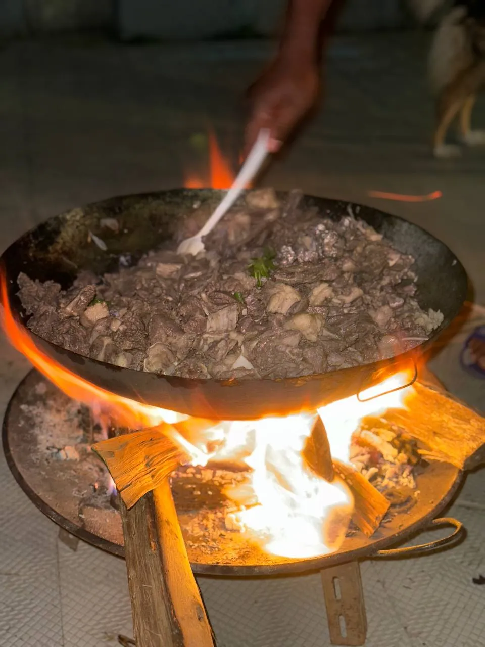 Campfire cooking